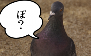 鳩が豆鉄砲を食ったよう
