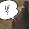 鳩が豆鉄砲を食ったよう